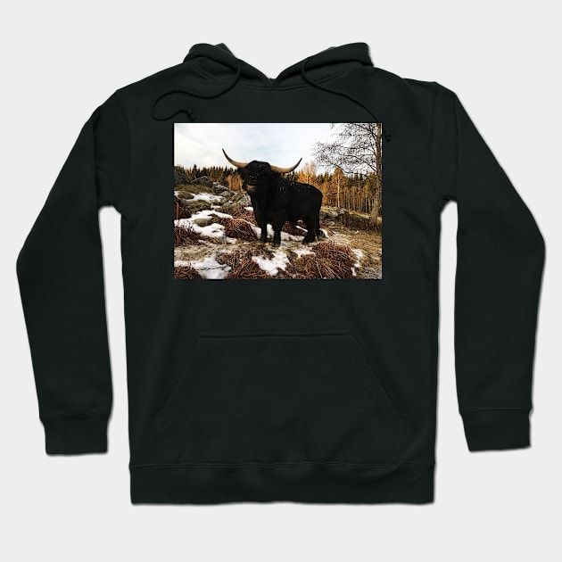 Scottish Highland Cattle Black Bull 2254 Hoodie by SaarelaHighland